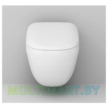 Унитаз AM.PM Sensation C301700WH + C307851WH картинка 2